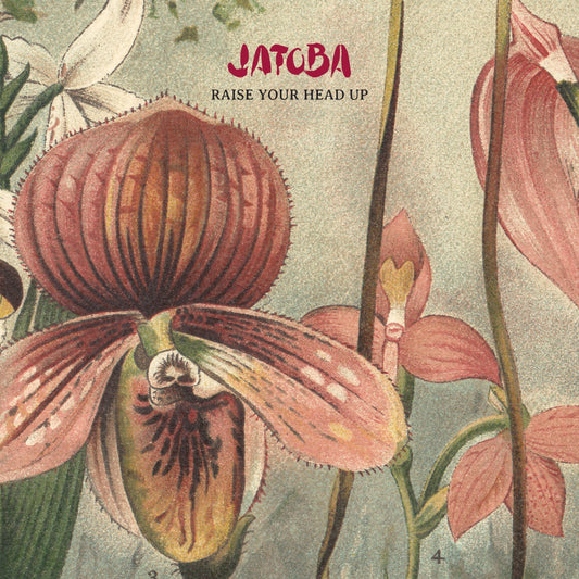 JATOBA's Latest Single, "Raise Your Head Up," from Their Highly Anticipated Album Leaf Out