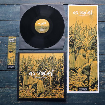 "Canne à sucre" (Vinyl / DL)