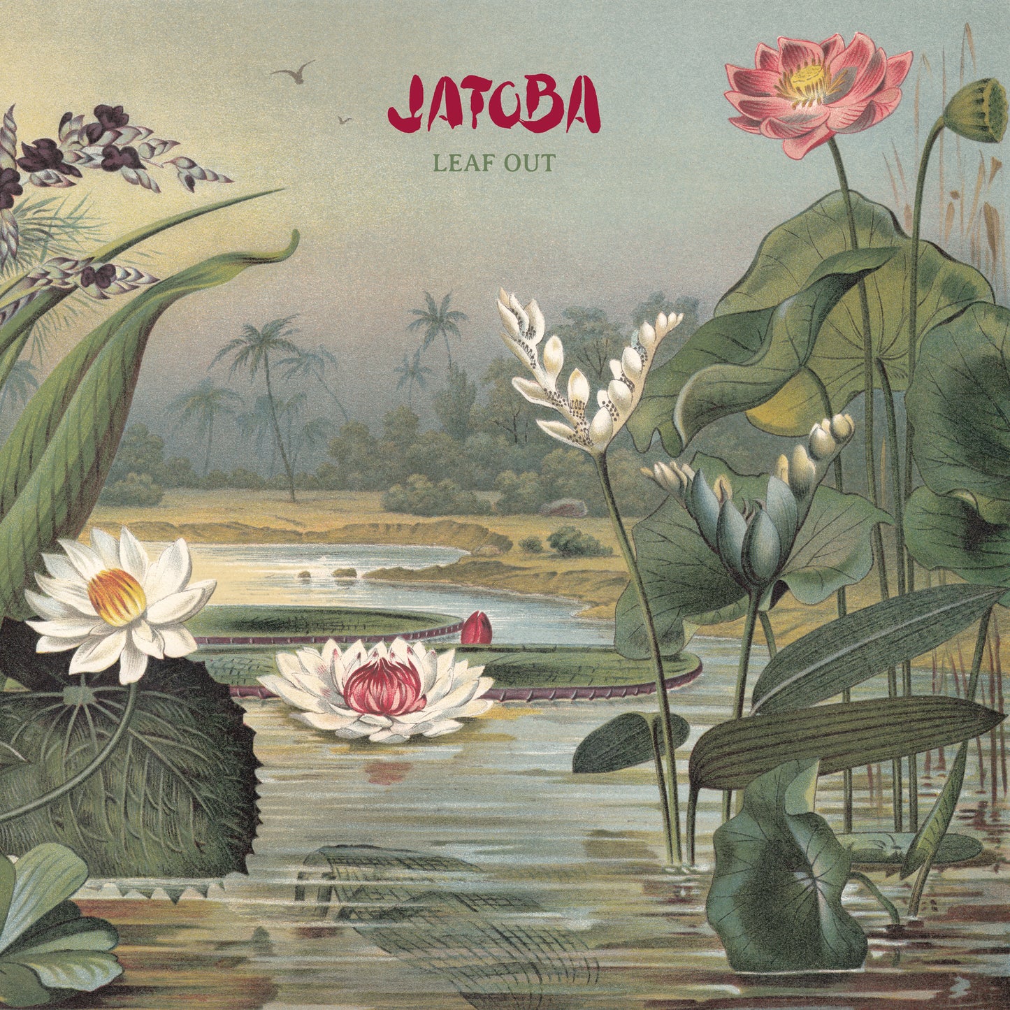 Leaf Out (Vinyl)
