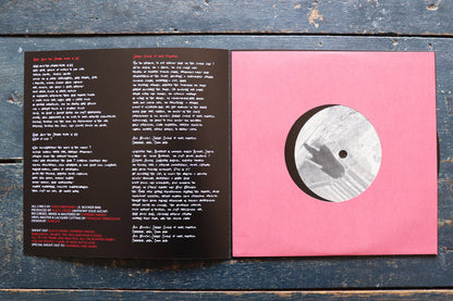 "The day night stood still" (7" Vinyl)