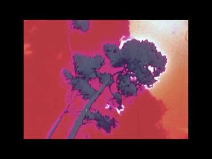 "Exotica" (Vinyl, DL)
