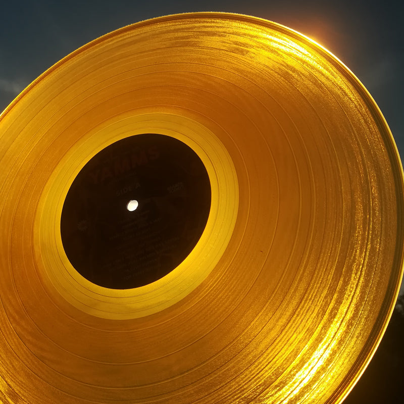 "Yamms" (Vinyl, DL)